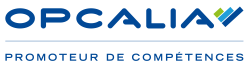 logo-opcalia-web logo-opcalia-web